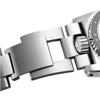 Vicenza - Piazzetta Palladio 2 - Watchband ZRC SGF42216 - SGF42216